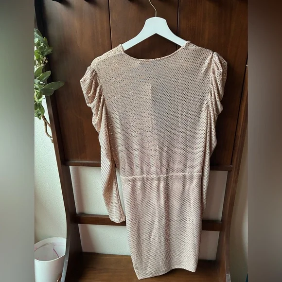 NWT IRO LouLou Sequin Dress in Blush Pink (Size:38/6) - Picture 11 of 15